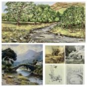 GWYN DAVIES (British circa 1950 - circa 1960) oil on board - mountain river with trees to side,