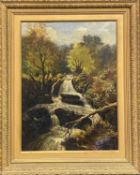 UNSIGNED early 20th century oil on canvas - woodland and waterfall, 60 x 45cms