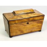 VICTORIAN SATINWOOD DOUBLE TEA CADDY - of sarcophagus form on bun feet, the interior having two
