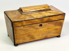 VICTORIAN SATINWOOD DOUBLE TEA CADDY - of sarcophagus form on bun feet, the interior having two