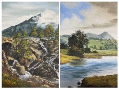 DOROTHEA HYDE oils on canvas (2) - titled 'Ogwen Falls and Tryfan', signed, 55 x 46cms and 'River