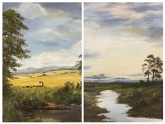 ANGELA WILLIAMS oils on board (2) - rural river scene and sunset, 54 x 79cms and a similar scene