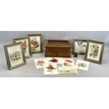 MAHOGANY TABLETOP DISPLAY CASE with glazed, hinged lid, on drawer to base, lined with green baize,