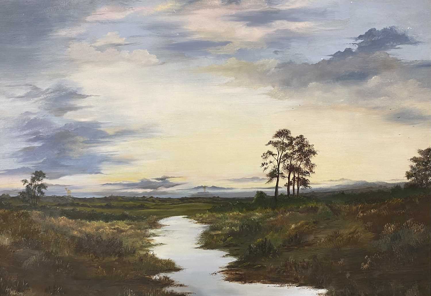 ANGELA WILLIAMS oils on board (2) - rural river scene and sunset, 54 x 79cms and a similar scene - Image 2 of 3