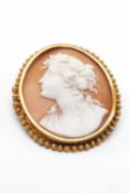 GOLD FRAMED SHELL CAMEO, approx. gross weight. 8.15g Comments: hallmarked, hallmark rubbed,