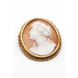 GOLD FRAMED SHELL CAMEO, approx. gross weight. 8.15g Comments: hallmarked, hallmark rubbed,