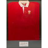 SIR GARETH EDWARDS | WALES 1977 International match worn-jersey versus Ireland in 1977. The jersey