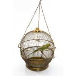 AN ANTIQUE SPHERICAL BIRD CAGE TAXIDERMY OF GREEN PARROT perched with head tilted, cage with swing