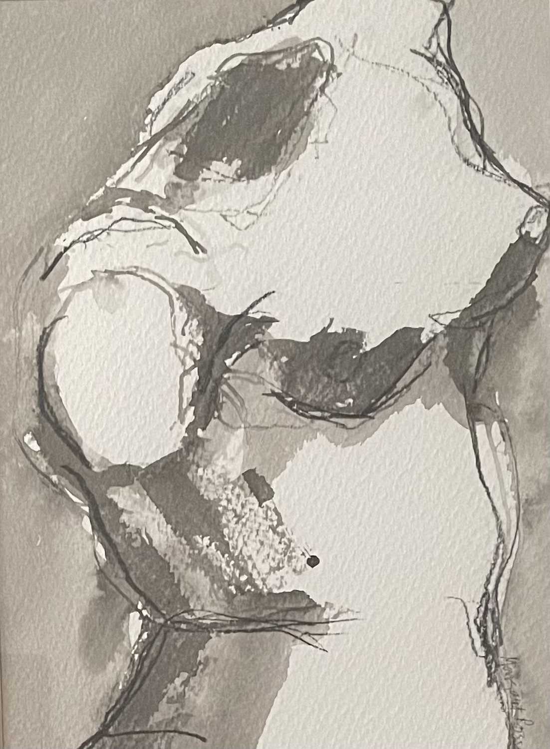 Margaret Prosser. “Female Torso”. Pen & ink study. 44 x 33cms. Margaret is a South wales based