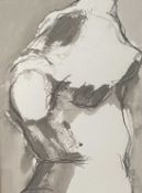 Margaret Prosser. “Female Torso”. Pen & ink study. 44 x 33cms. Margaret is a South wales based