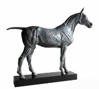 Barry Davies RCA. “Anatomical study of the horse”. Bronze sculpture. 43cmw x 36cmh x 12cmd.