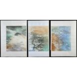 ‡ DONALD WILKINSON (b. 1937) etching with colour - 'Below Derwent Folds', c. 1980, triptych, signed,