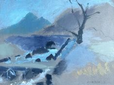 ‡ HOWARD ROBERTS watercolour - 'Nant Ffrancon Pass', signed and dated '69, Gallery label verso, 33 x