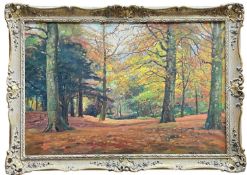 ‡ DONALD FLOYD, oil on canvas - Autumn woodland glade, signed, 60 x 90cm