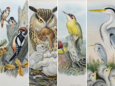 JOHN GOULD AND H.C. RICHTER, ornithological lithographs with colour, to include 'Bubo Maximus', '