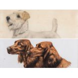 LEON DANCHIN, two lithographs - studies of red setter heads, c.1931, (PL) 41 x 48cm, and Terrier,