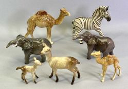 BESWICK ANIMALS - Zebra, 18.5cms H, Camel, 18cms H, 2 x Elephants, 13cms H, Doe, 15cms H, Fawn, 9cms