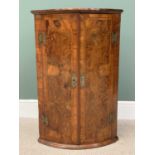 GOOD BURR WALNUT BOW FRONTED TWO DOOR WALL HANGING CUPBOARD - having fancy brass escutcheons and