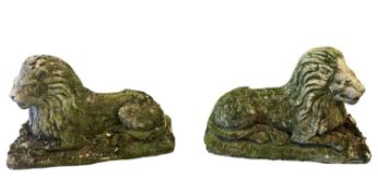 RE-CONSTITUTED STONE ORNAMENTAL GARDEN LIONS - a pair, recumbent, facing left and right, 37cms H,