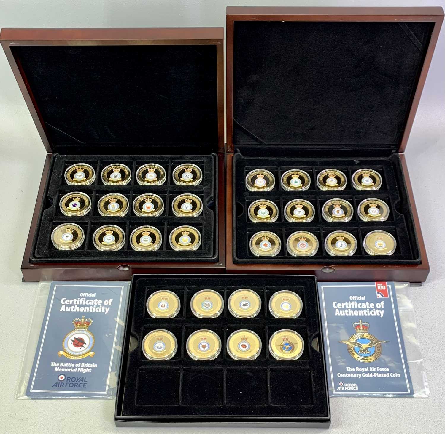 WESTMINSTER SQUADRONS OF THE ROYAL AIR FORCE COIN COLLECTION - 32 x 50p 24ct gold plated coins in
