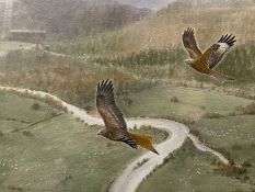 PHILIP SNOW- watercolour, 'Welsh Kites'- signed and dated 2000, 25 x 52cms
