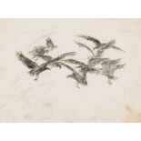 ‡ MILDRED ELDRIDGE RWS ink sketch & pencil on both sides of paper - sketch of eagles, with