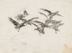 ‡ MILDRED ELDRIDGE RWS ink sketch & pencil on both sides of paper - sketch of eagles, with
