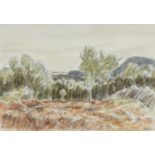 ‡ SIR KYFFIN WILLIAMS RA pencil & watercolour - entitled verso 'Autumn, Nantmor', signed with