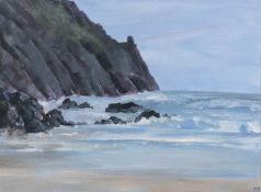 ‡ SIAN McGILL oil on board - coastal scene, Tor Bay, signed with initials, 29 x 39cms Provenance: