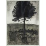 ‡ GEORGE CHAPMAN limited edition (17/50) etching - entitled 'Graveyard and Monkey Puzzle Tree',