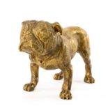 AUSTRIAN BRONZE FIGURE OF A BULLDOG, standing four square, abdomen stamped 'VIENNA STB', 10.5cms