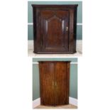 18TH CENTURY JOINED OAK HANGING CORNER CABINET, of small proportions, with pointed arched panelled