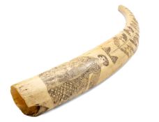 WALRUS SCRIMSHAW TUSK, 19th Century, engraved and stained with a female figure in Victorian costume,