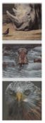 ‡ COLLECTION OF WILDLIFE ARTWORK including ALAN M. HUNT limited edition (275/750) print -