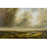 ‡ HARRY BRIOCHE (b. 1965) oil on board - expansive landscape with lakes to centre ground, signed, 61