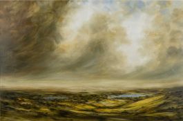 ‡ HARRY BRIOCHE (b. 1965) oil on board - expansive landscape with lakes to centre ground, signed, 61