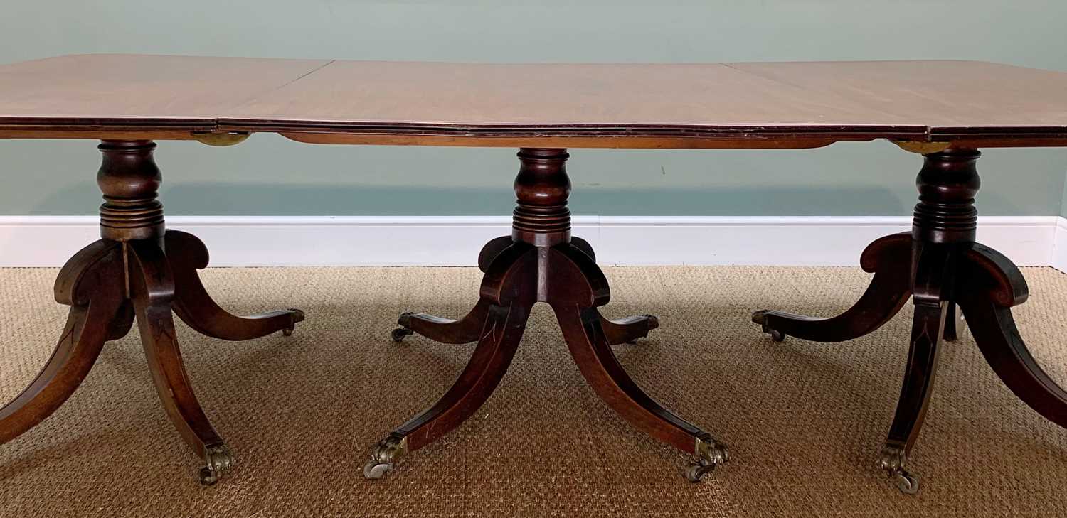 REGENCY TRIPLE-PEDESTAL MAHOGANY DINING TABLE, double reeded top above ringed columns, with brass - Image 6 of 11