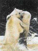 ‡ NEIL EVANS (b. 1951) gouache - fighting polar bears, signed, 38 x 28.5cms Provenance: Private
