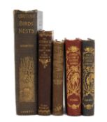 ASSORTED BOOKS ON BRITISH WILDLIFE, comprising Richard Kearton 'British Birds' Nests: How, Where,