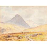 JOSIAH CLINTON JONES (1848-1936) watercolour - view of Tryfan, Snowdonia with cattle and brook,