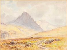 JOSIAH CLINTON JONES (1848-1936) watercolour - view of Tryfan, Snowdonia with cattle and brook,