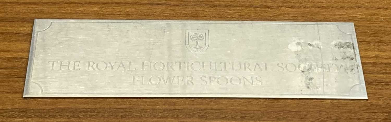 SET OF TWELVE JOHN PINCHES SILVER BOTANICAL SPOONS for the Royal Horticultural Society, Sheffield, - Image 3 of 3