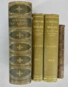 B. B. WOODWARD 'THE HISTORY OF WALES FROM THE EARLIEST TIMES', 1st Edition, published 1853, Virtue &