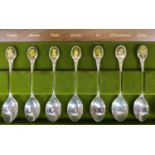 SET OF TWELVE JOHN PINCHES SILVER BOTANICAL SPOONS for the Royal Horticultural Society, Sheffield,