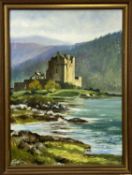 D J ALLEN large oil on board - Scottish castle, 19 x 35cms, study of an eagle, owl catching mouse