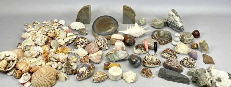 VARIOUS MINERAL SAMPLES including polished Brazilian agate bookends, a pair, 11.5 x 8cms, various