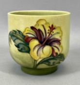 MOORCROFT 'HIBISCUS' PATTERN JARDINIERE, yellow / green ground, impressed marks and with Queen