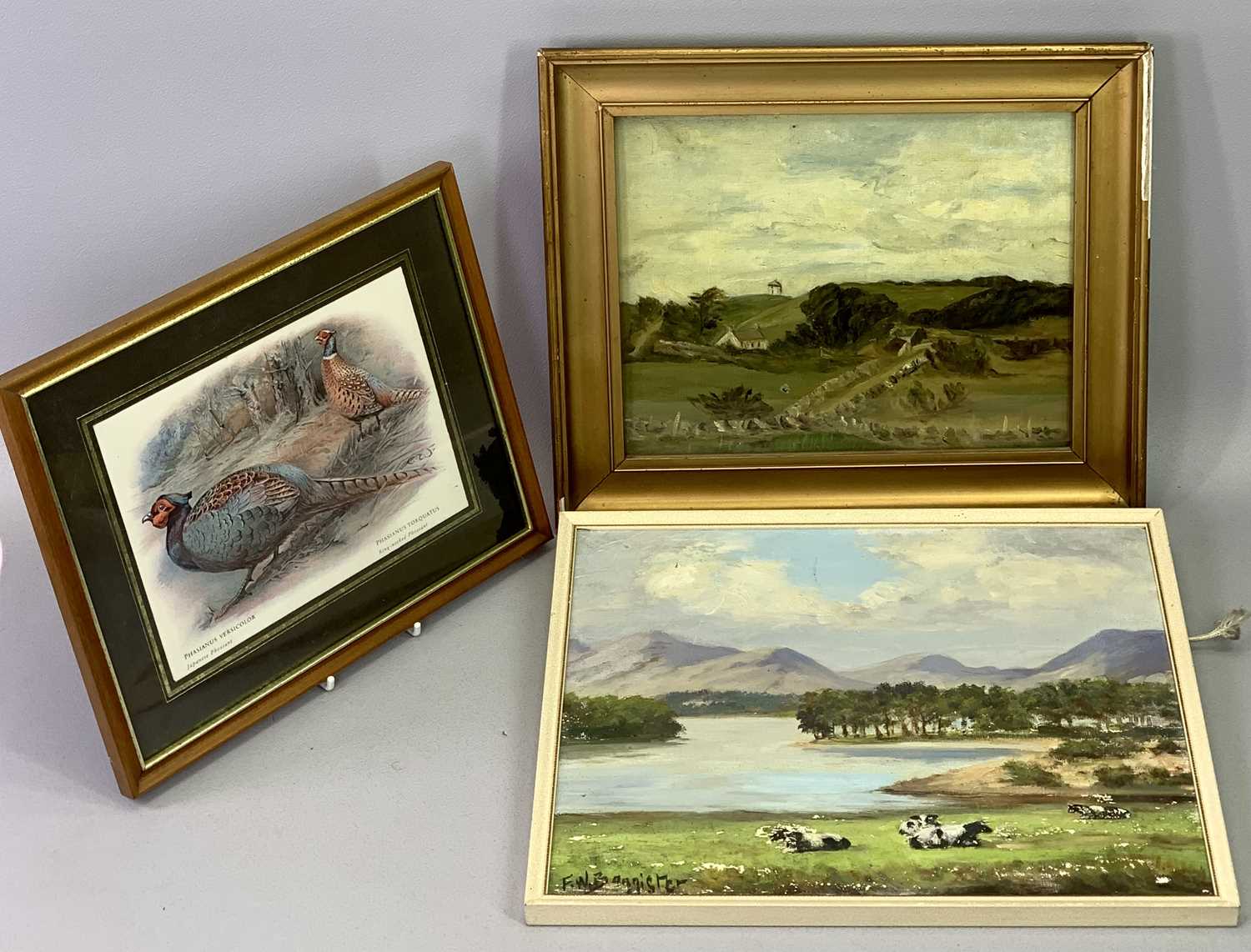 F W BANNISTER oil paintings on board (2) - title verso 'Spring Northwood' and 'Early Morning North - Image 6 of 7