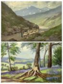 F W BANNISTER oil paintings on board (2) - title verso 'Spring Northwood' and 'Early Morning North