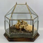 GLASS TERRARIUM OF OCTAGONAL FORM, with brass glazing bars and roof finials containing cactus and